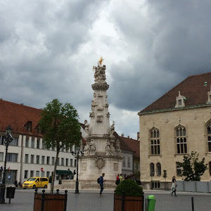 Meet your Posher, Sunny